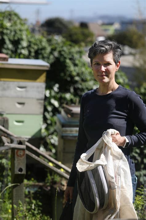 Life lessons from beekeeping propelled Meredith May