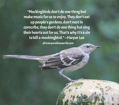 Life lessons in to kill a mockingbird