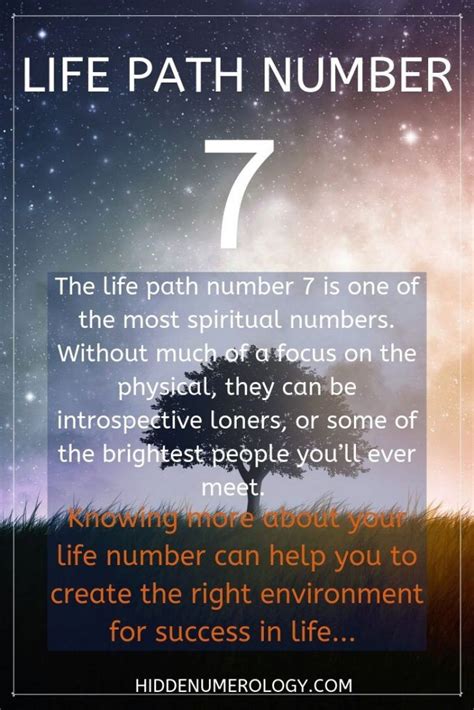 Life path number 7. A life path 7 person also enjoys solitude and prefers to work alone. However, as a numerology number seven, be careful not to cut off ties with other people as doing such a thing can leave you feeling completely isolated, alone, and empty. Once you reach such a dangerous stage, you become more suspicious and cynical than ever. 