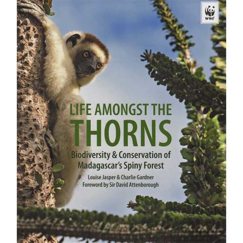 Read Online Life Amongst The Thorns Biodiversity  Conservation Of Madagascars Spiny Forest By Louise Jasper