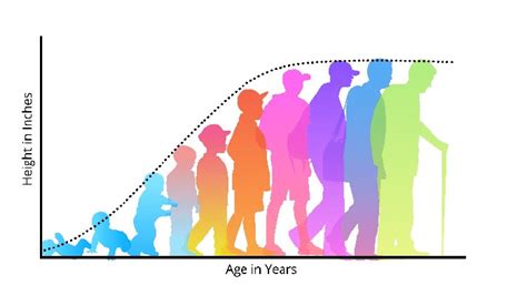 Lifespan Development Chart Human Growth And Development, Social