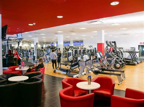 Lifestyle gym. Things To Know About Lifestyle gym. 