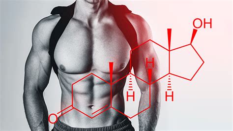 Lifetime Testosterone Optimization