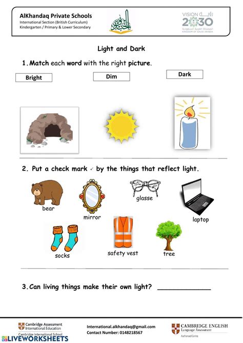 Light And Color Worksheets