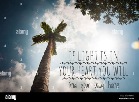 Light Your Way - Home - Facebook