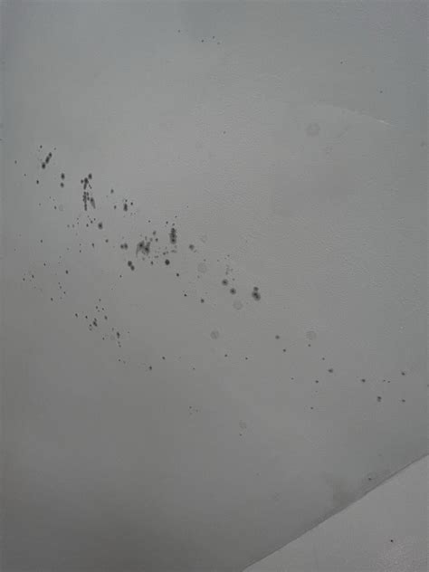 Light grey spots on wall. .