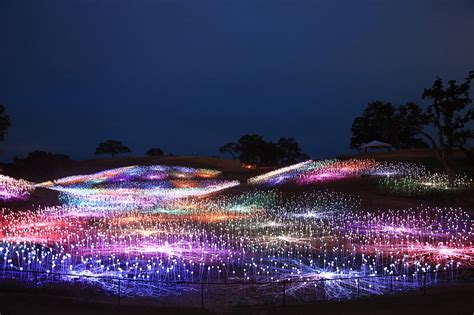 Download Light By Bruce Munro