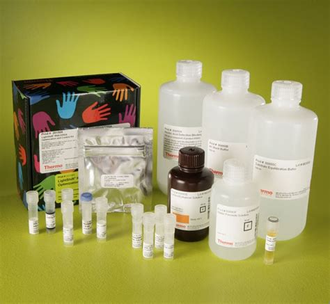 LightShift Chemiluminescent RNA EMSA Kit - Thermo Fisher …