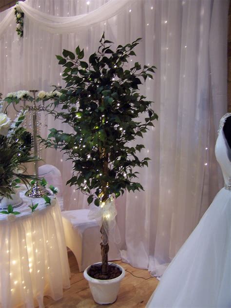 Lighted ficus tree. Things To Know About Lighted ficus tree. 