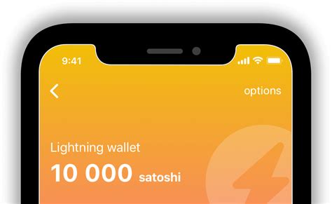 Lightning wallet. Lightning. Note: This option is unavailable based on your previous selections. Some wallets support transactions on the Lightning Network. The Lightning Network is new and somewhat experimental. It supports transferring bitcoin without having to record each transaction on the blockchain, resulting in faster transactions and lower fees. 