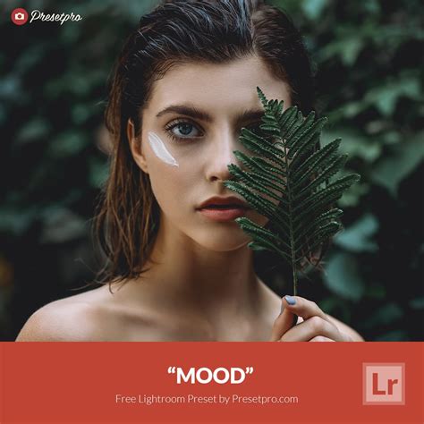 Lightroom film presets. Lightroom Presets. Mastin Labs Lightroom Presets are born from real film looks— no gimmicks or trends! In 3 steps, you’ll get clean, true-to-color photos both you and your clients will love. Step 1: Import & apply … 