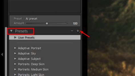 Lightroom mobile import presets not showing. .  ...