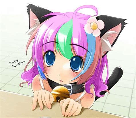 Lil neko
