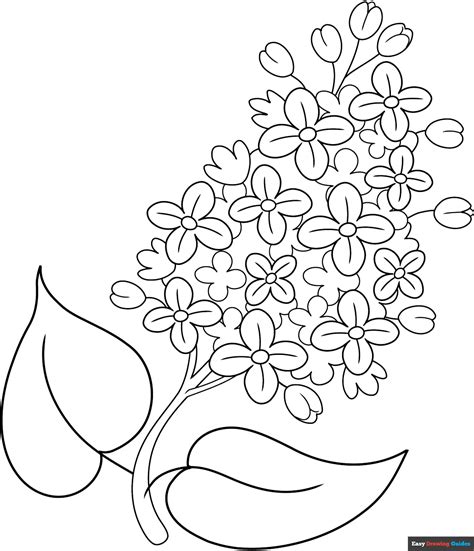 Thanksgivng Coloring Pages