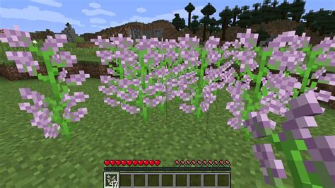 Lilac in Minecraft