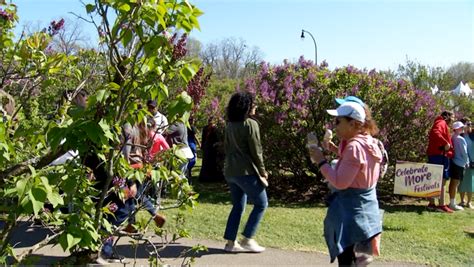 May 4, 2022 · 3 min read. With spring in full bloom, Rochester's annual Lilac Festival is right around the corner. Scheduled to begin Friday, May 6, at Highland Park, the festival — now celebrating its 124th year — will run each weekend through May 22, from 10:30 a.m. until 8:30 p.m., according to the festival's website.. 
