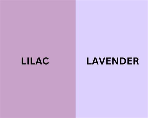Lilah Lavender Leaks +18 🍑 168 Vids