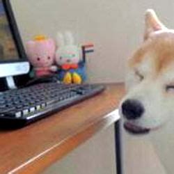 Lilflowerangel Onlyfans Leaked (SEX) 💋 82 Videos