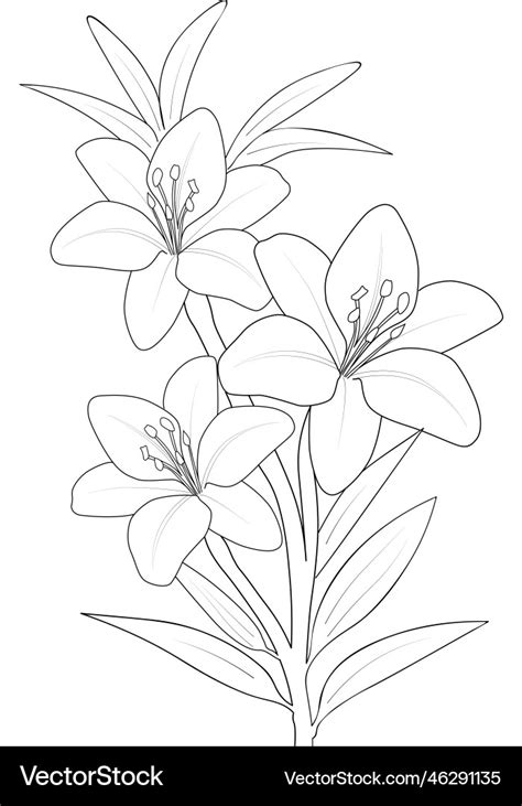 Knuckles Sonic Coloring Page
