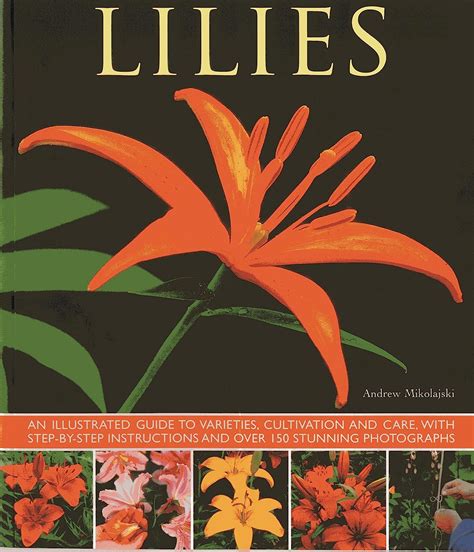Lilies an illustrated guide to varieties cultivation and care with step by step instructions and over 150 stunning. - Suzuki rf900r rf 900r 1996 reparaturanleitung.