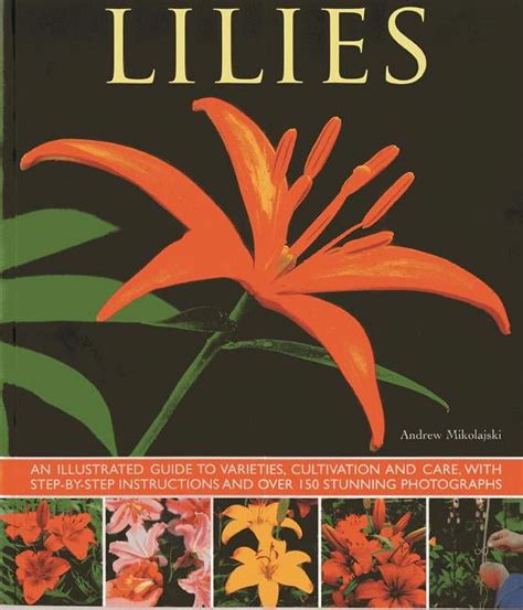 Lilies an illustrated guide to varieties cultivation and care with. - Guida allo studio per investigatori privati ​​dell'esame di new york.