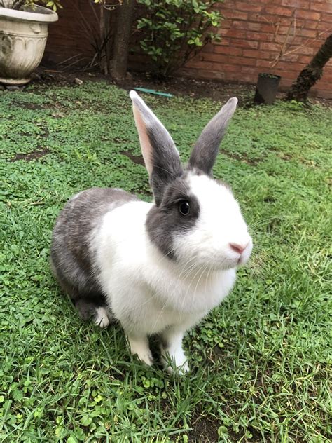 Lilovip Onlyfans Leaked [HD] 🍑