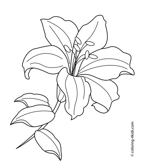 Lily Coloring Pages Best Coloring Pages For Kids