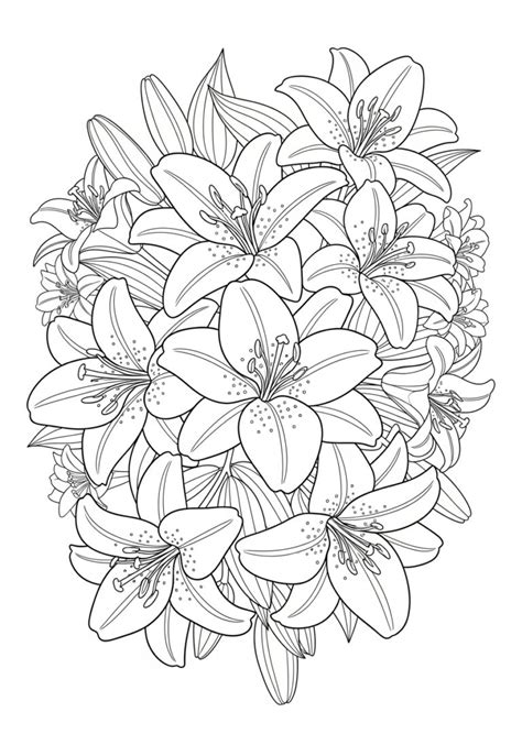 Lily Flower Coloring Page