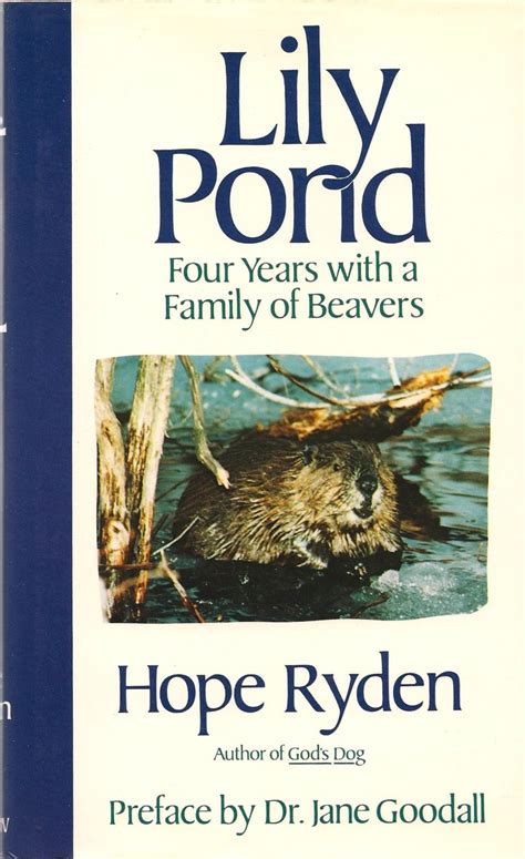 Download Lily Pond Four Years With A Family Of Beavers By Hope Ryden