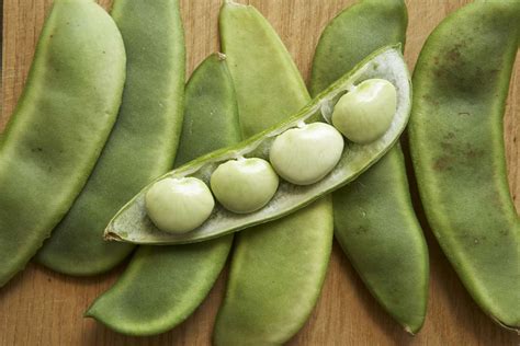 Lima bean scientific name. Things To Know About Lima bean scientific name. 
