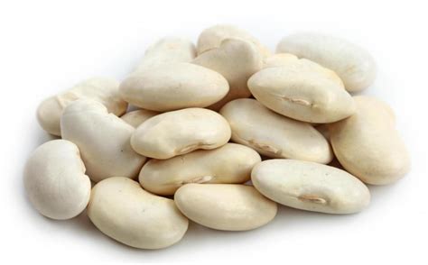 The larger, moon-shaped limas (also called butter beans) are used in a variety of dishes. In America, they are featured in succotash and sugar bean recipes, as well as Kentucky burgoo, a savory stew commonly served at Derby Day parties. Lima beans also appear in paella and gigandes plaki, a Greek vegetarian baked bean dish. . 