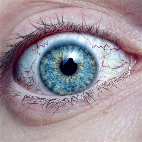 A distinguished limbal ring is related to non secular well being and your connection to the non secular realm, and darker limbal rings are about instinct and psychic skills. The eyes are the home windows to the soul and the limbal ring is believed to indicate the deepest ideas and feelings of the individual possessing it.. 
