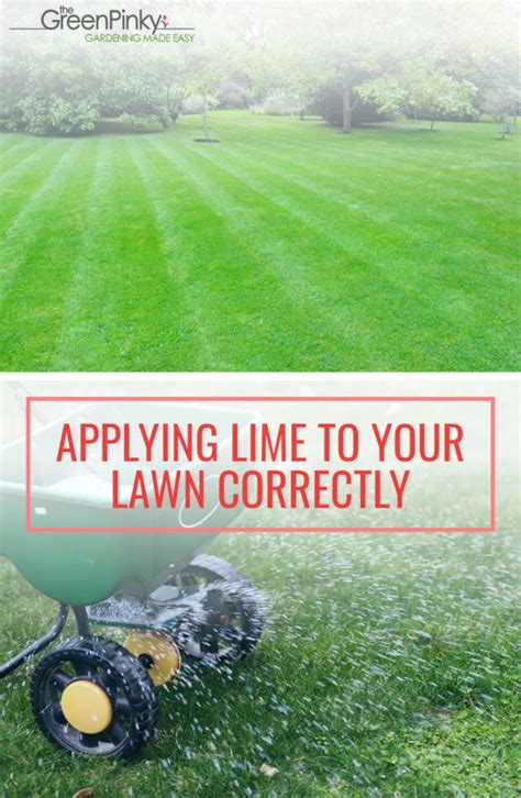 Lime For Lawns (What is Lime and When to Apply?)