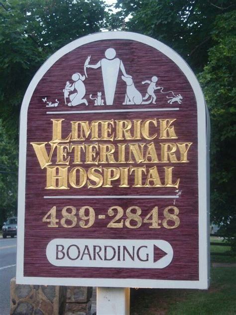 Limerick vet. City Vet was founded in 1991 and has been looking after and treating pets in the Limerick area since. The practice is now located in a hospital facility on Lord Edward Street where the caring and experienced vets and nurses cater for your pet’s veterinary needs. Contact Details T: +353 (61) 419 760 E: reception@cityvet.ie Opening Hours Monday ... 