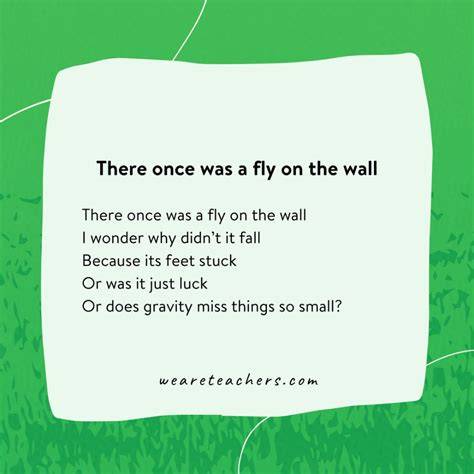 Limericks for kids.  Perfect for classroom fun, creative writing, and laugh...