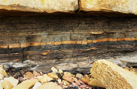 Shale forms via compaction from particles in slow or quiet water, such as river deltas, lakes, swamps, or the ocean floor. Heavier particles sink and form sandstone and limestone, while clay and fine silt remain suspended in water. Over time, compressed sandstone and limestone become shale.. 