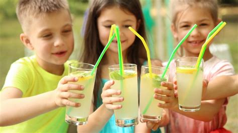 Limonata Mini Mutfak Mini Kumbara Dergisi. 