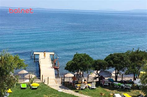 codini.rgarabwor.edu.pl. 