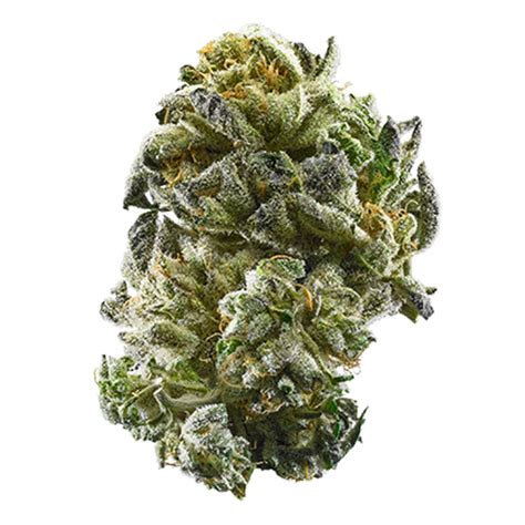 Limoncello runtz. Starting at $ 38.99. White Runtz THCA is a balanced strain resulting from crossing Zkittlez and Gelato, offers potent effects that combine a calming body high with a stimulating mental buzz. It's known for its sweet candy-like flavor and visually appealing bright green buds covered in trichomes. Sweet Candy-like Flavor & Aroma. Compliant Flower. 