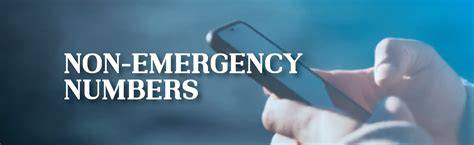 Lincoln county sd non emergency number.  Remember, controlled burns must b...