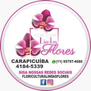 Linda Flores Facebook Curitiba
