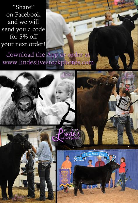 Linde's Livestock Photography is with Megan Hunker-Ruffing and . 5 others.