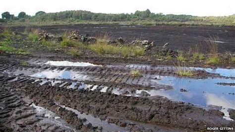 Lindow Moss Man - BBC