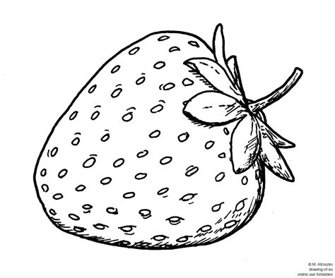 Line Strawberry Drawing