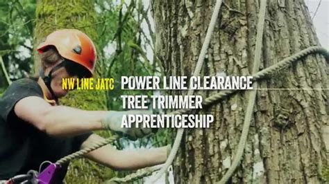 Line clearance tree trimming salary. Each career also uses different skills, according to real tree trimmer resumes. While tree trimmer responsibilities can utilize skills like "work ethic," "strong work ethic," "hand saws," and "line clearance," groundsmen use skills like "snow removal," "construction sites," "locomotives," and "bobcat." Groundsmen earn a lower average salary ... 