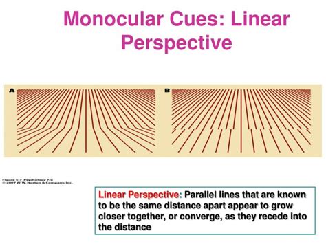 Linear perspective monocular cue. linear perspective helps us give depth cues. Texture surface in particular show such a gradient due to linear perspective that provides additional cues about the depth of scenes, as shown in Figure 7.4. 8. Movement Produced Cues: So far, we have considered only stationary images. However, our eyes are constantly moving. 