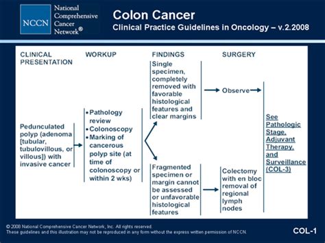 Linee guida nccn per pazienti con carcinoma del colon. - 2003 kawasaki kvf360 prairie factory service manual.