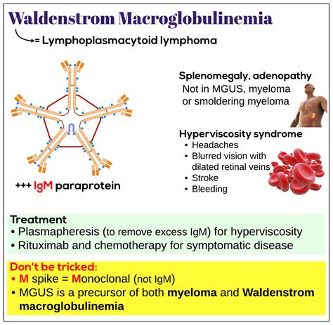 Linee guida nccn per pazienti linfoma linfoplasmocitico macroglobulinemia di waldenstroms. - Vizio blu ray player vbr120 manual.