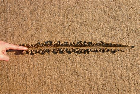 Lines in the Sand
