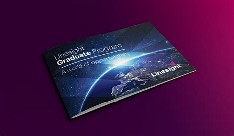 Linesight Graduate Programme